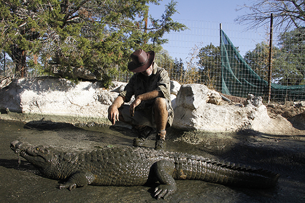 Danny Conner with crocodile